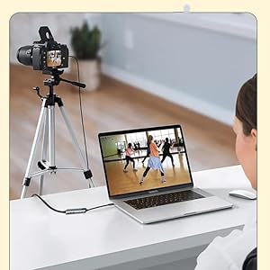 cameras and camcorders