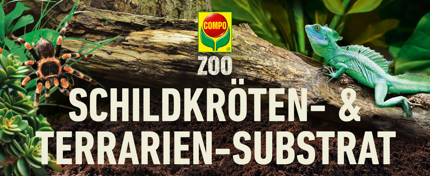 Schildkröte-Substrat-Header 