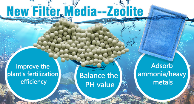 Marineland Rite Size B