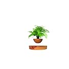 floating pot magnetic;floating plant;magnetic flower pot;rotating magnetic levitation flower pot