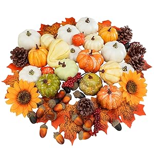 Winlyn Assorted Harvest and Baby Boo Pumpkins and Gourd