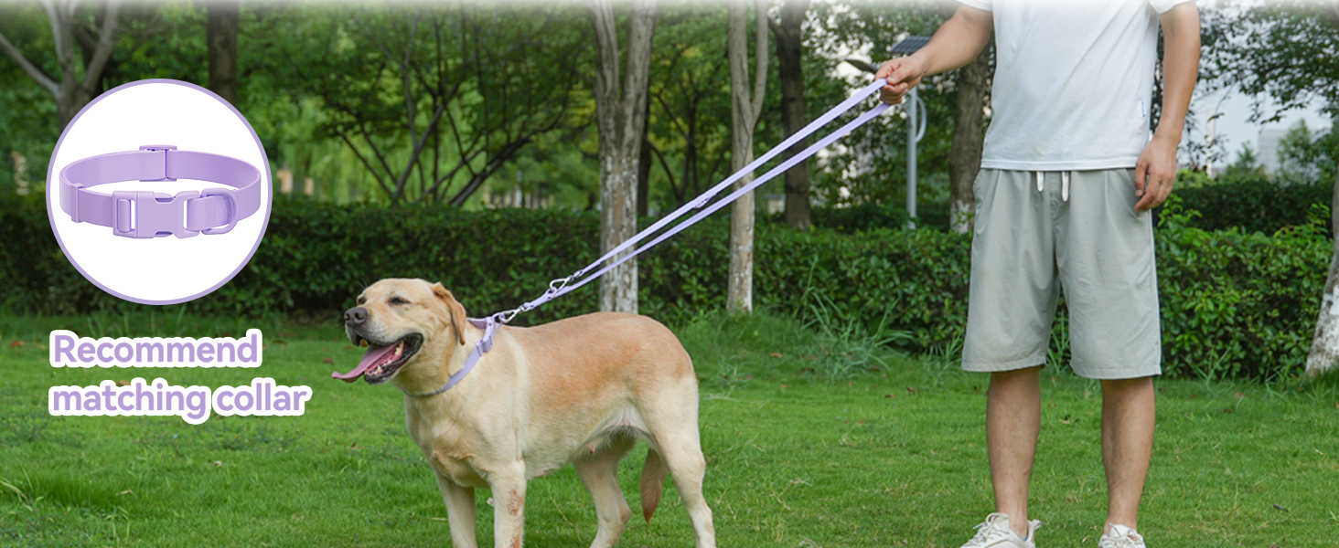 Waterproof Dog Leash