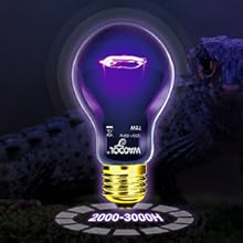 reptile heat lamp bulb