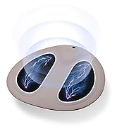 Amazon.co.jp: EMSパワーアップ CLASSY.にて紹介 wavewave