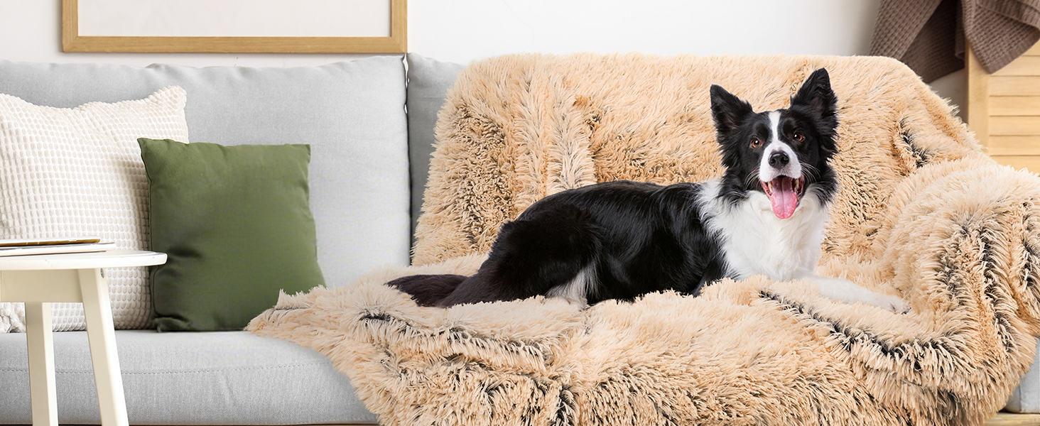 Large Dog Blanket for sofa