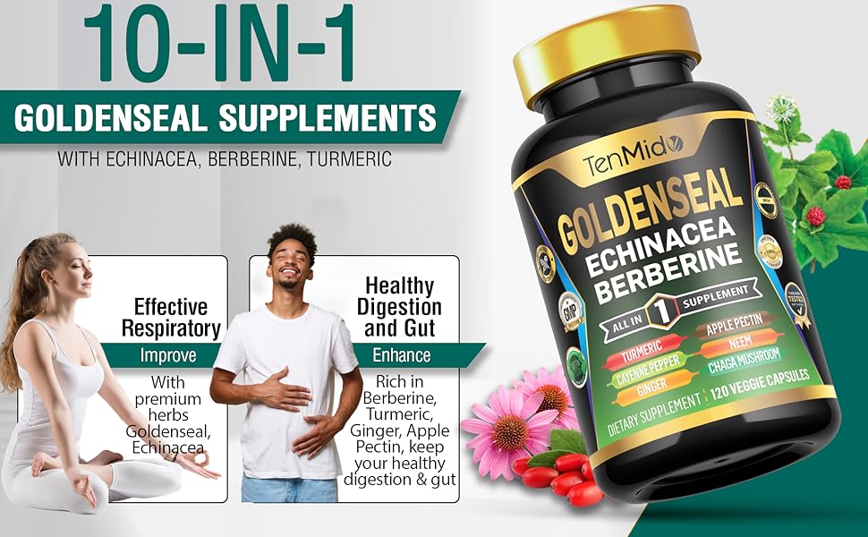 golden seal herb echinacea complex organic goldenseal golden seal root goldenseal root powder