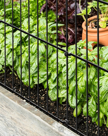 Decorative Garden Fence