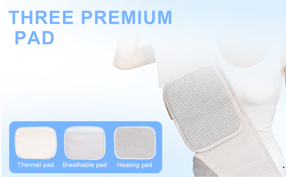 Waist Back Support Belt
