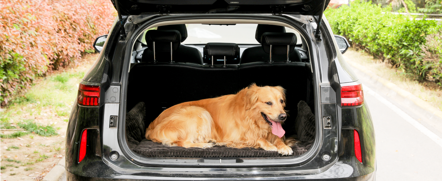 backseat cover for dogs in car
