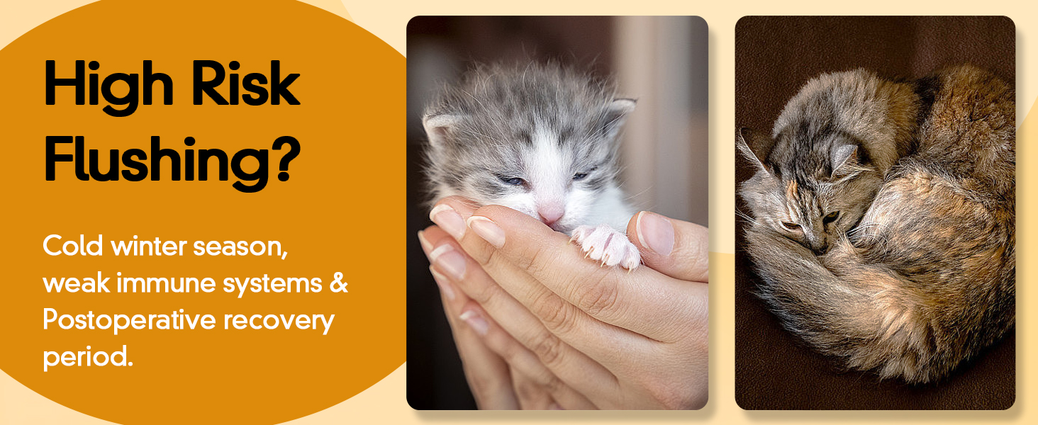 dry dog shampoo waterless