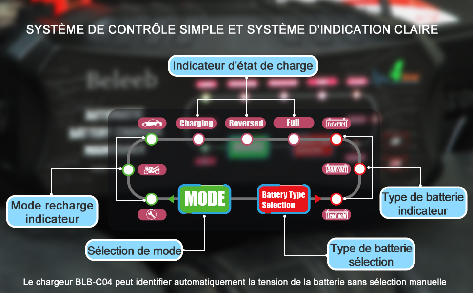 Beleeb Série C04 Désulfateur Automatique de Batterie pour Batteries PlombAcide SLA Gel AGM, 6V