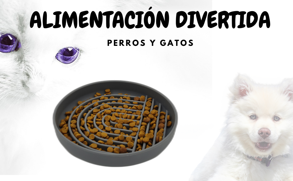 Feeder Dog Anti Voracity Feeder Cat Feeder Dog Accessories Feeders for Dogs Anti-Voracity Feeder Cat Feeder Cats Feeders Cats Feeder Anti-Voracity Dog Slowfeeder 13 un cuenco para perros con comida para gatos