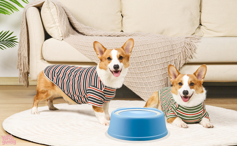 anti spill dog water bowl