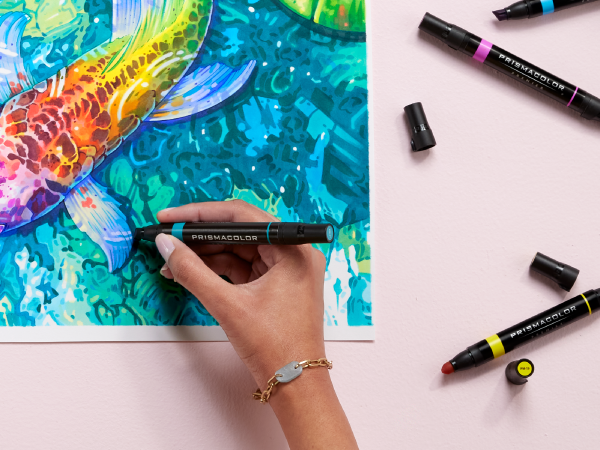 markers dual tip coloring adult kids activity fun summer party book office home desk assortment