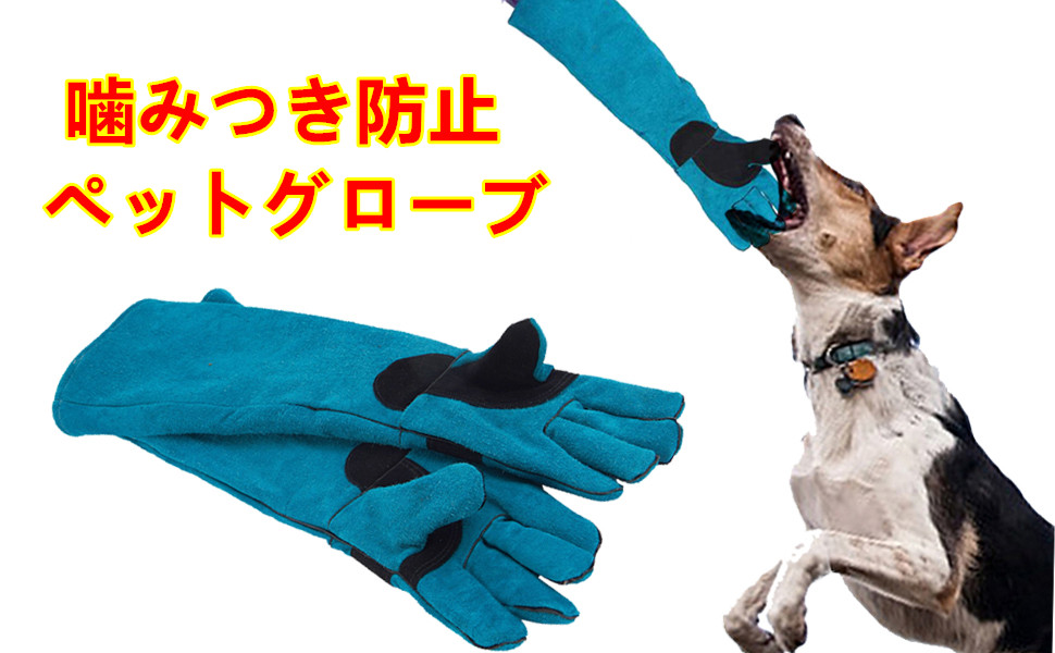 飼犬手噛 Dog biting can be cured with XX! Easy ways for anyone to