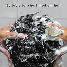 SHARP Scalp Esthe Dryer 新品未使用品 Sharp IB-WX901 Plasmacluster Beauty Drape Flow Dryer | Japan
