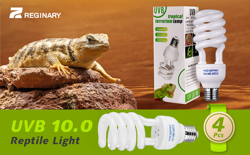 デュアルランド　Tropical 、Bayou セット Amazon.com : Reptile Systems New Dawn LED Compact – Balanced