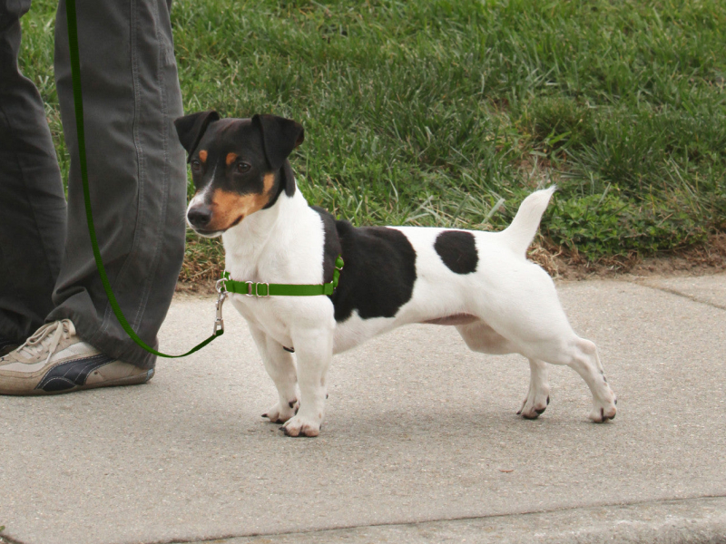 Large manufacture image 3