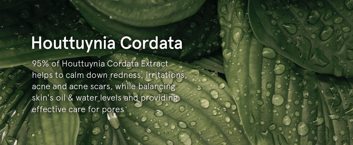 Houttuynia Cordata Extract