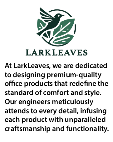LarkLeaves Mesh Ergonomic Chair