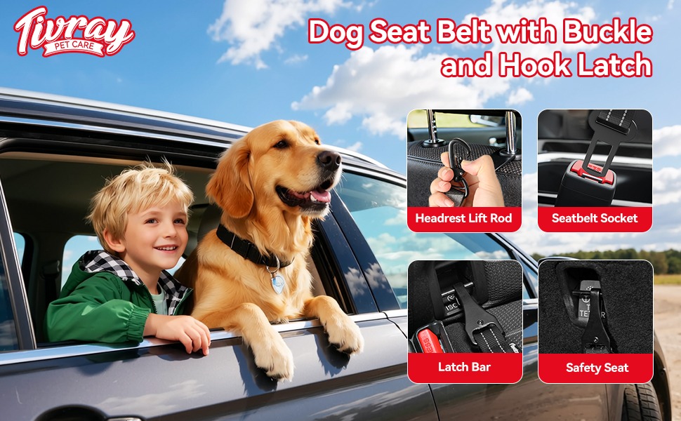 dog seatbelt seat belt for dogs in car dog car leash seat belt seatbelt for dogs in car