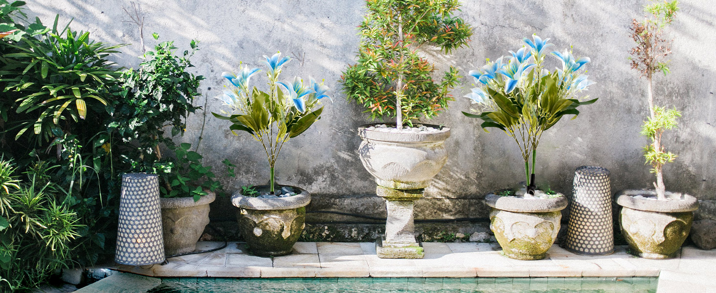 solar flowers