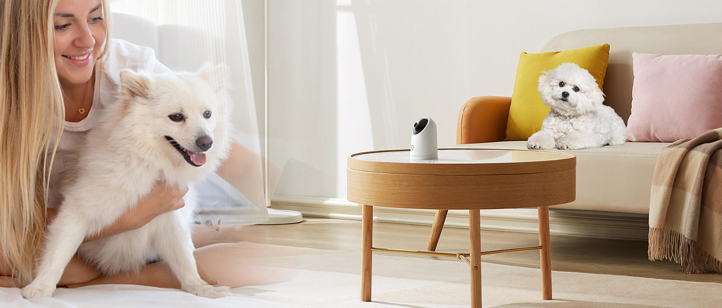 dog grooming supplies