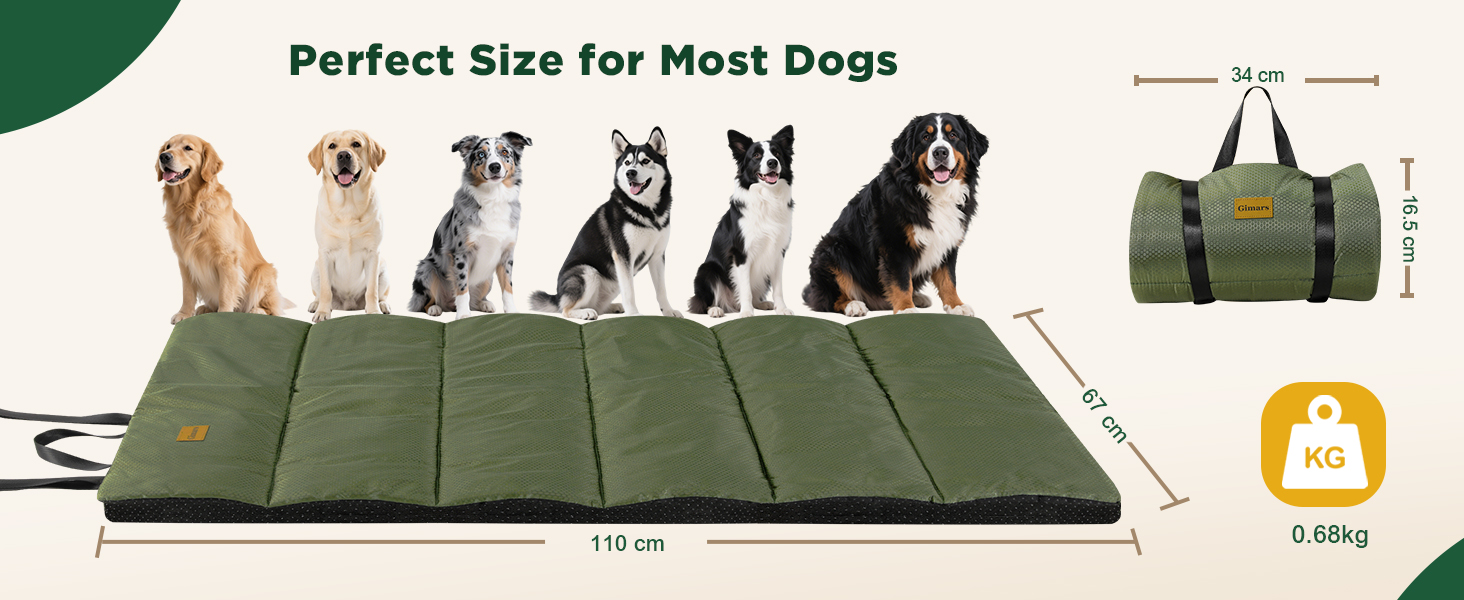 large dog bed for outdoor