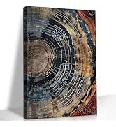 LSXARTQQ Tree Ring Wall Art