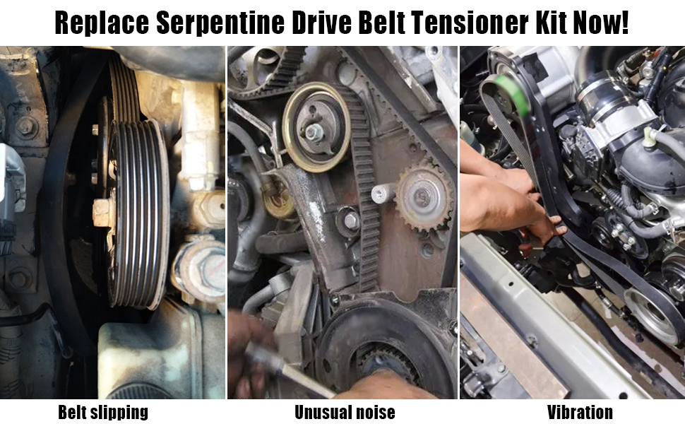 Serpentine Drive Belt Tensioner