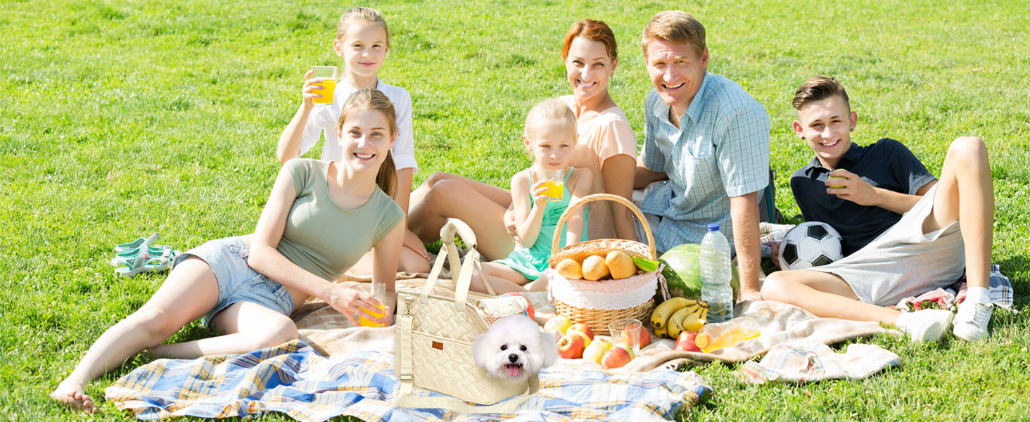 Die Gruppe genießt ein Picknick im Freien auf Gras mit ausgebreiteter Decke und teilt Essen und Trinken an einem sonnigen Tag.