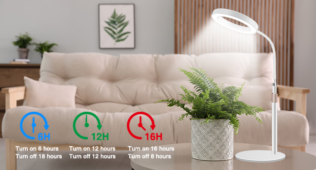 plant light for indoor plants