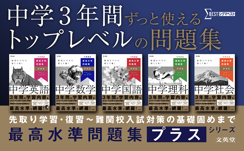 ΣBEST 最高水準問題集 プラス 5冊セット ΣBEST 最高水準問題集 プラス 5冊セット - メルカリ