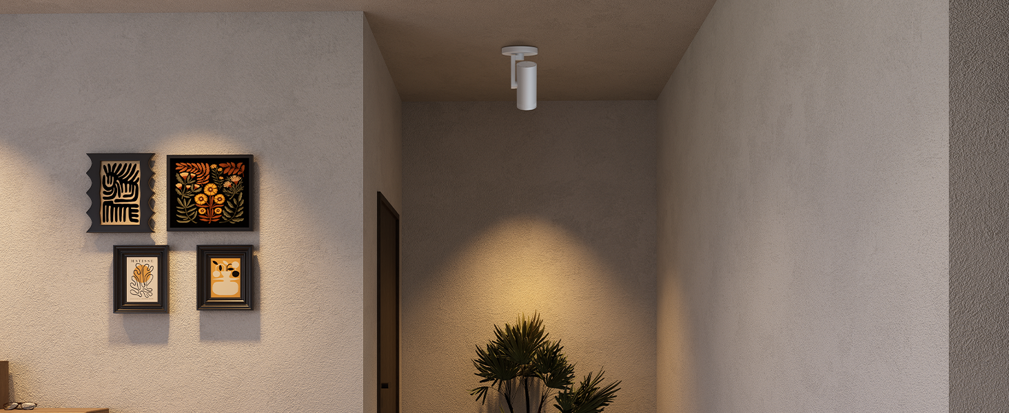 plant accent lighting