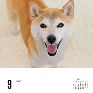I・LOVEしば vol.2 (あなたのしば、ここにいます。) I Love しばカレンダー 2025 : ネコ・パブリッシング