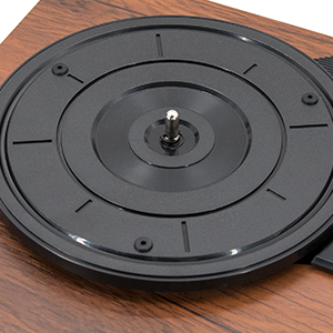 Amazon.com: Vinyl Record Player with Dual Portable Stereo