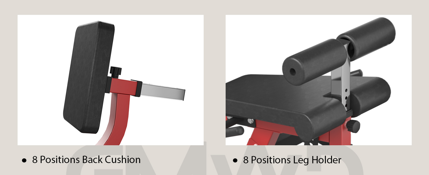 GMWD Leg Extension and Curl Machine, Lower Body Special