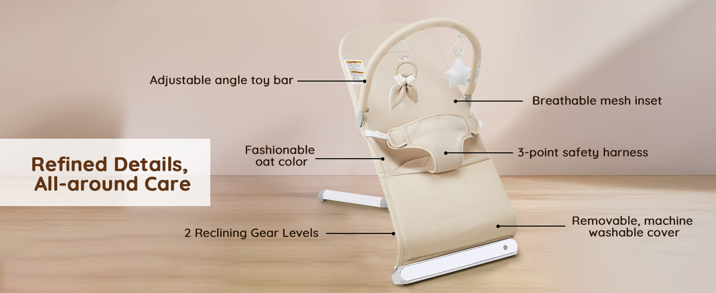 Baby Bouncer