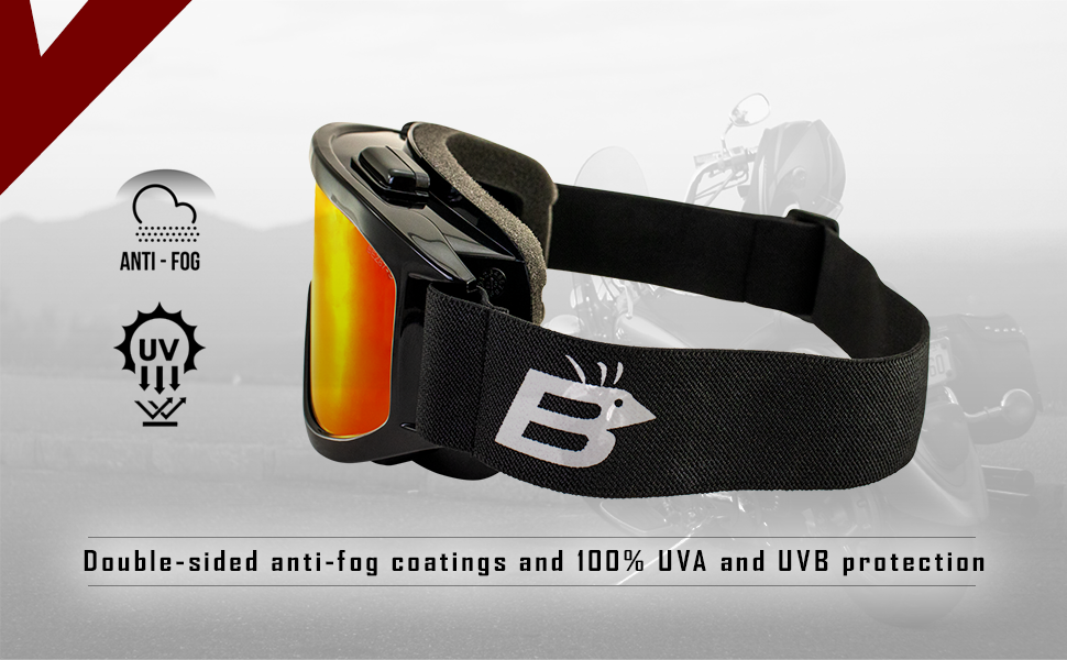 Amazon.com: Birdz Eyewear Vulture Motorcycle Goggles ANSI