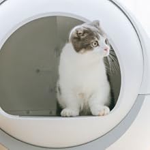 PETREE ペッツリー PLUS 猫 自動トイレ Wi-Fiモデル　キャリア付 レンタル] ブルーピッグ PETREE ペッツリー スマート クリーン