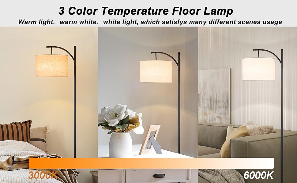 Battery Operated Cordless Floor Lamp with Remote Control For Bedroom