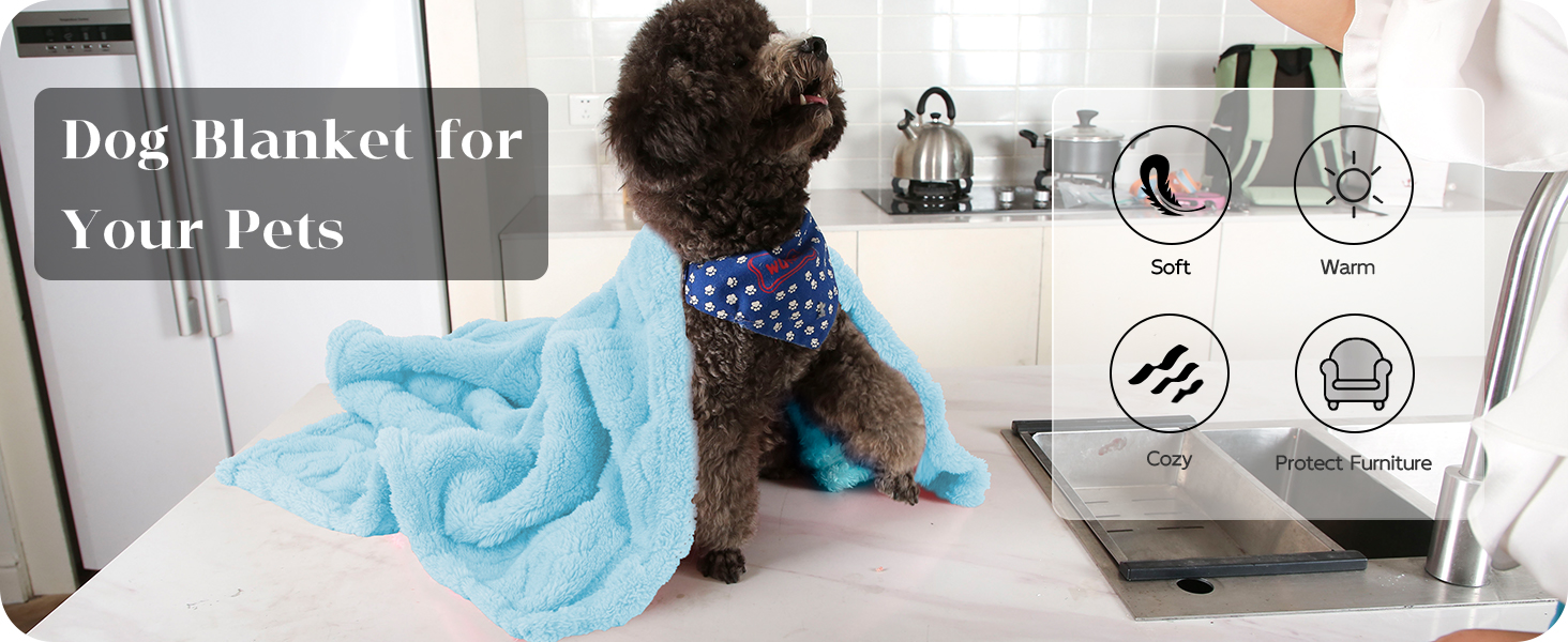 dog blanket