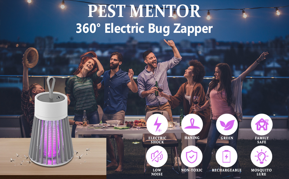 Bug Zapper Shocking Mosquito