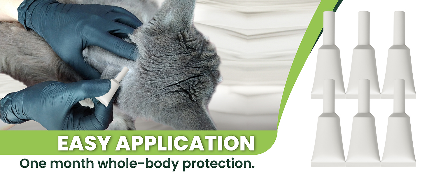 cat flea and tick treatment