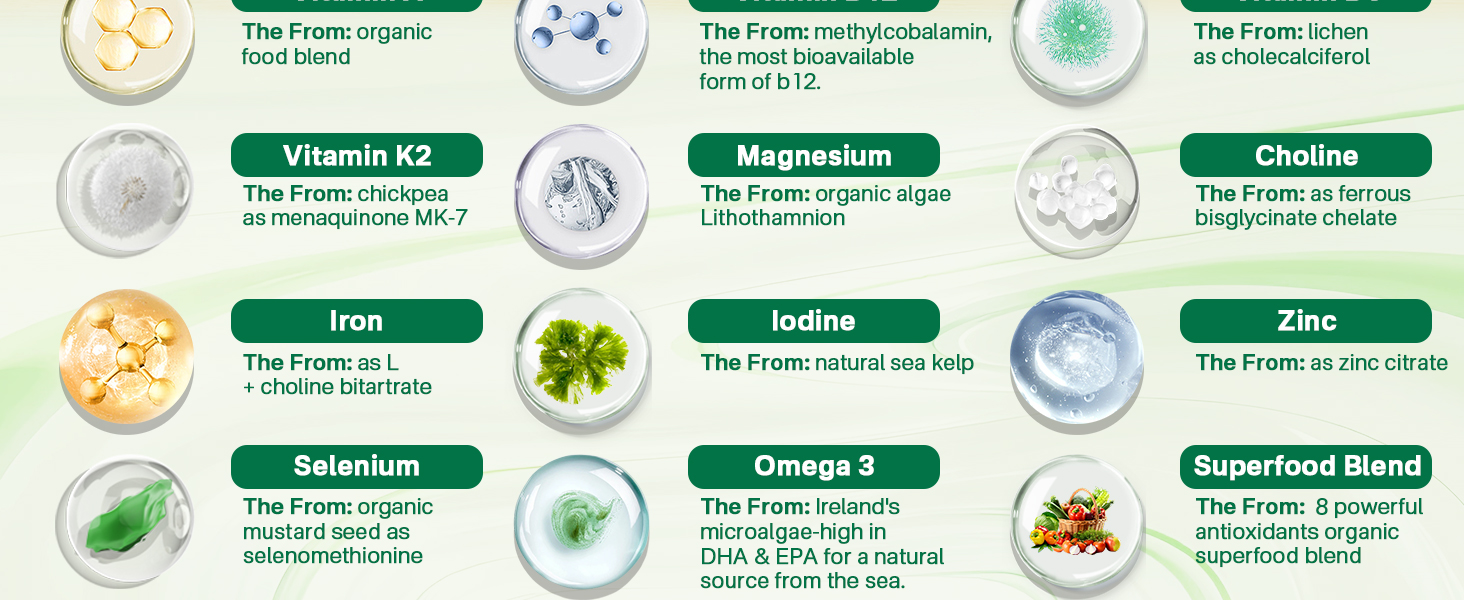 vegan multivitamin vitamins