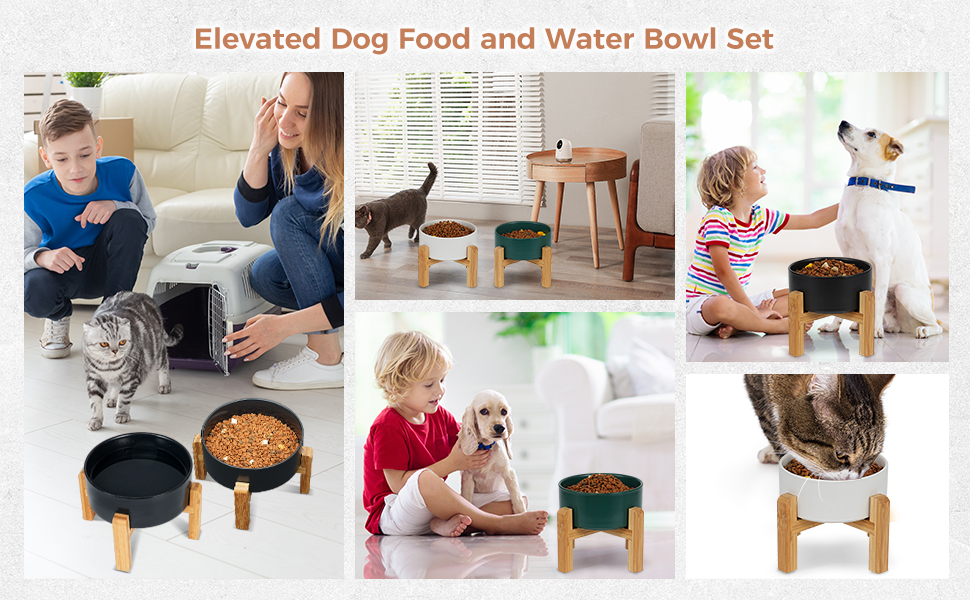 PapiCola Raised/Elevated Dog & Cat Ceramic Bowl, Pet Water