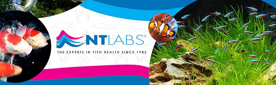 NT Labs