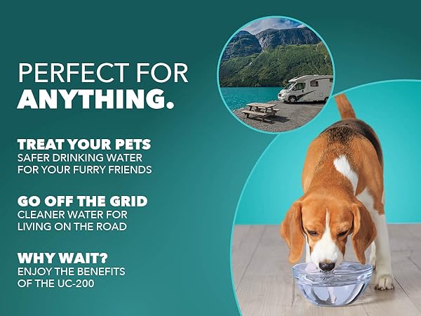 Perfect For Anything.