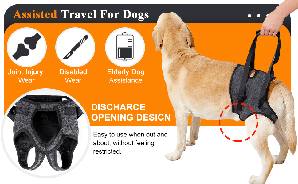 Dog Lift Harness