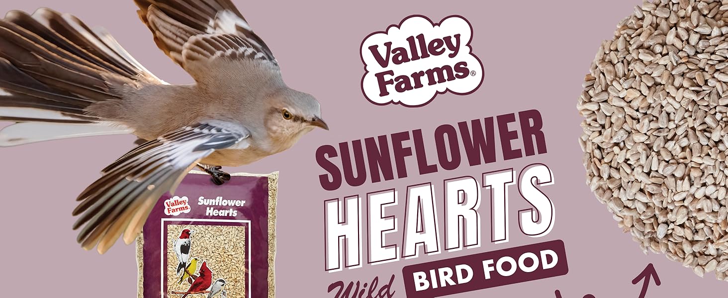 A mockingbird holding a bag of valley farms Sunflower hearts
